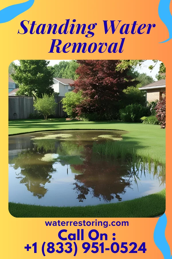 Standing Water Removal in Hanson, KY